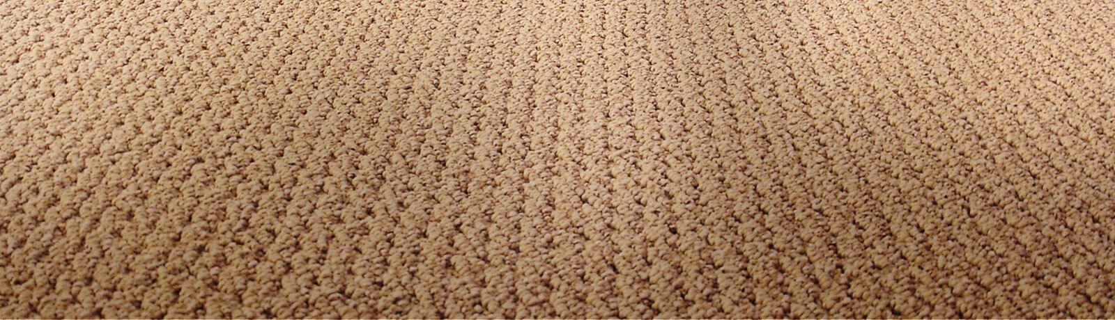 Take a Look at the Back of that Rug or Carpet – Complete Carpet Co