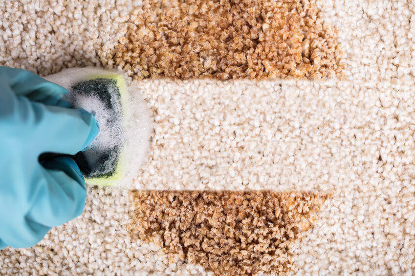 Top 4 Carpet Cleaning Mistakes to Avoid